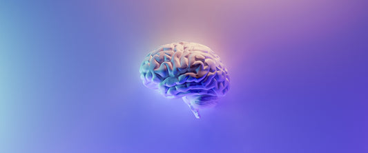 Acuidade mental: 9 exercícios para melhorar memória e concentração